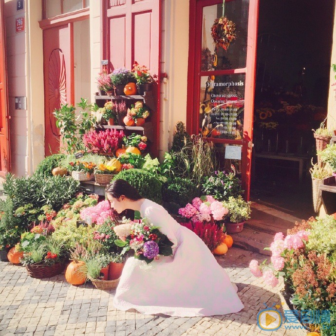 张辛苑布拉格写真 张辛苑高清写真_张辛苑高清剧照