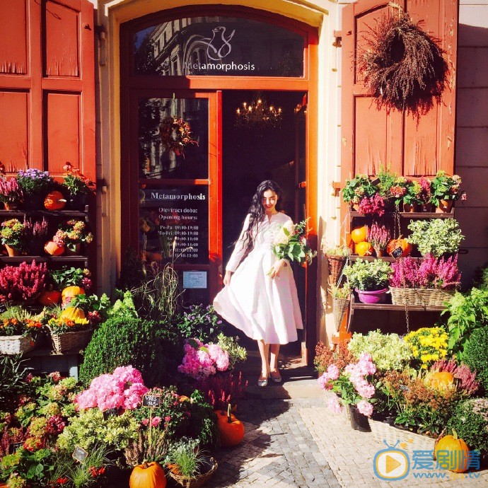 张辛苑布拉格写真 张辛苑高清写真_张辛苑高清剧照