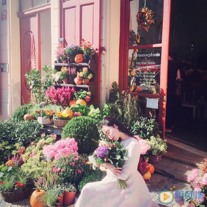 张辛苑布拉格写真 张辛苑高清写真_张辛苑高清剧照