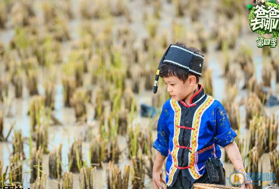 蔡轩正《爸爸去哪儿4》照 蔡轩正高清写真_蔡轩正高清剧照
