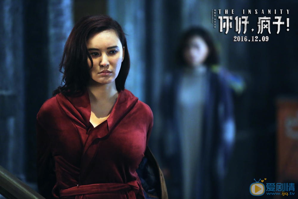 你好疯子什么时候上映 上映时间