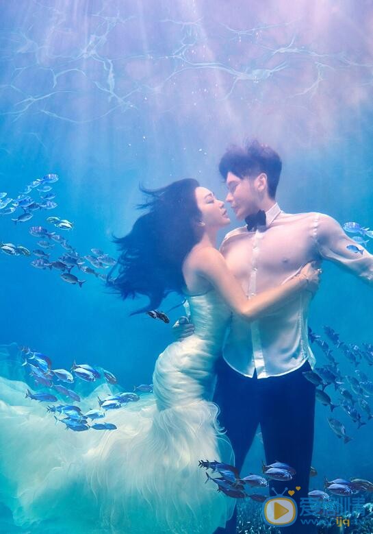 钟丽缇钟丽缇张伦硕婚纱照 钟丽缇高清写真_钟丽缇高清剧照