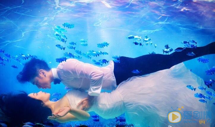 钟丽缇钟丽缇张伦硕婚纱照 钟丽缇高清写真_钟丽缇高清剧照