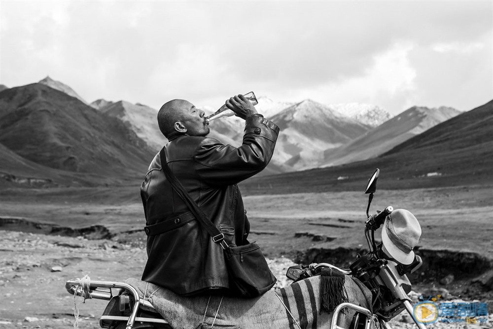 塔洛什么时候上映 上映时间
