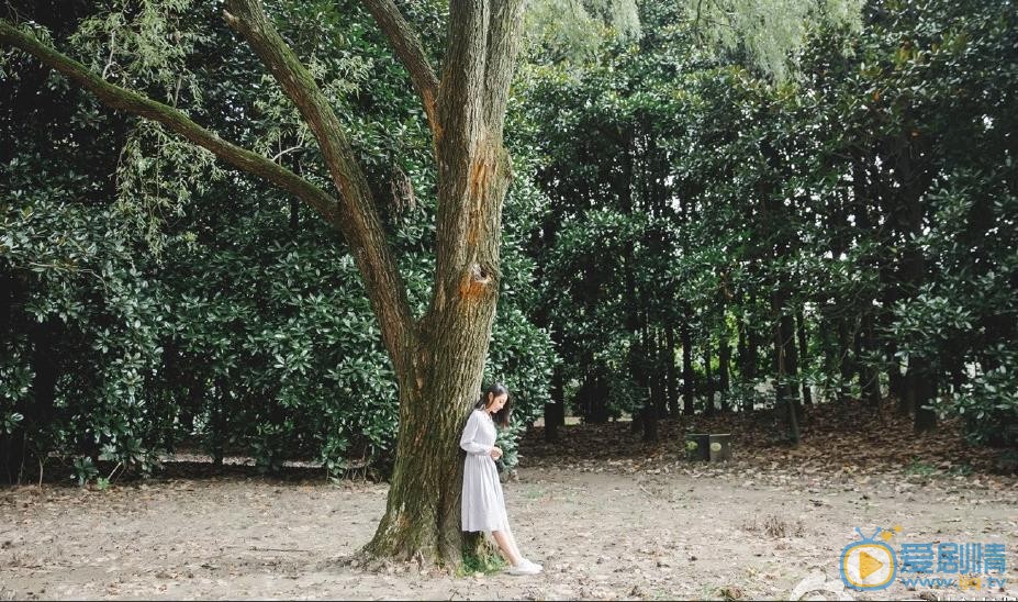 王艺诺旅行街拍照 王艺诺高清写真_王艺诺高清剧照