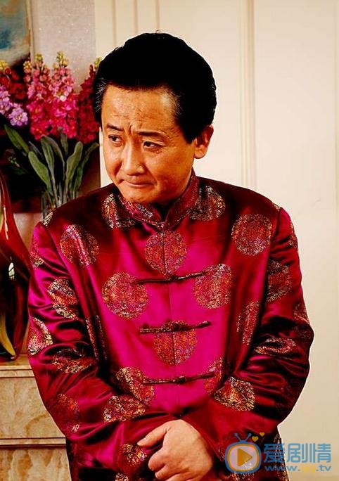 我的岳父会武术白振广剧照 