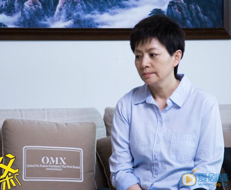 我的岳父会武术丁大春剧照 