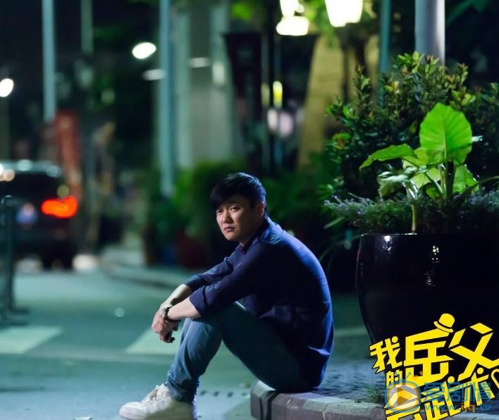 我的岳父会武术丁满意剧照