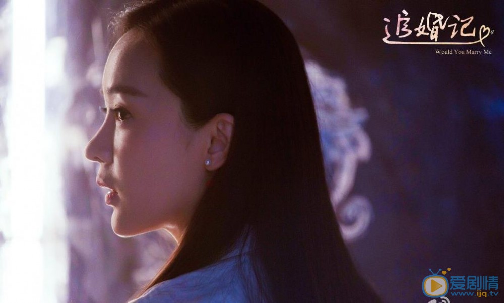 追婚记剧情介绍(1-41集大结局)