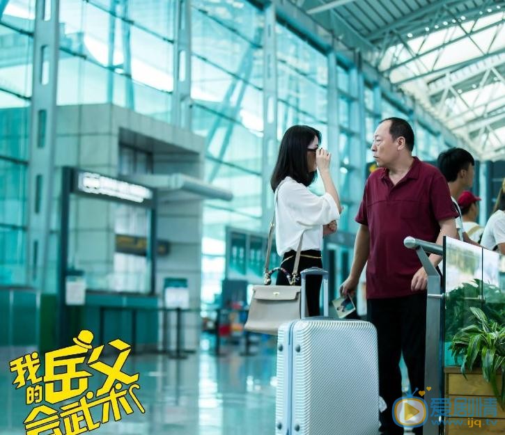 我的岳父会武术剧情介绍(1-40集大结局)