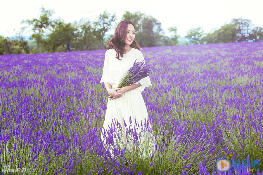 张嘉倪时尚街拍 张嘉倪高清写真_张嘉倪高清剧照