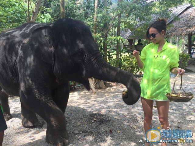 张嘉倪旅行照 张嘉倪高清写真_张嘉倪高清剧照