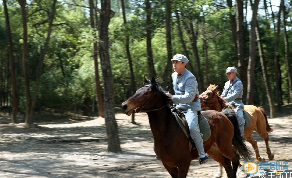 王新《映山红》剧照 王新高清写真_王新高清剧照
