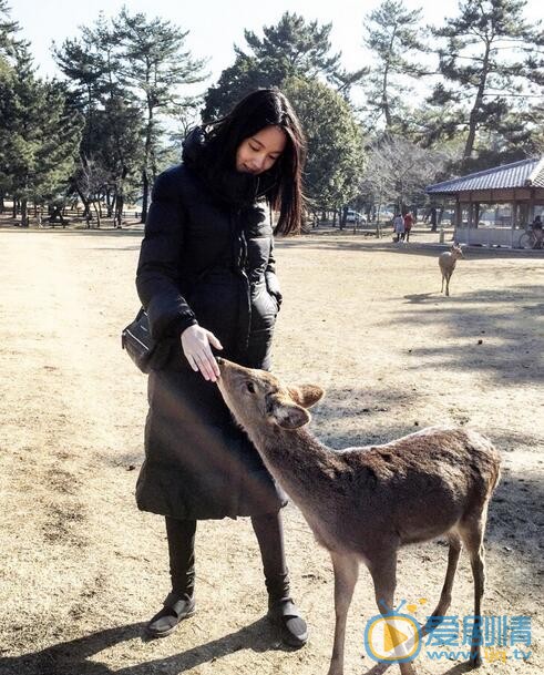 张梓琳孕妇照 张梓琳高清写真_张梓琳高清剧照