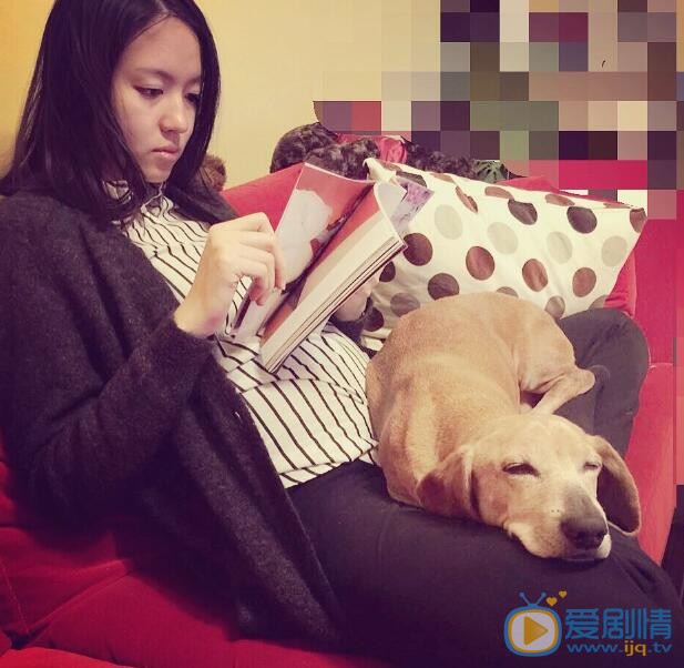 张梓琳孕妇照 张梓琳高清写真_张梓琳高清剧照