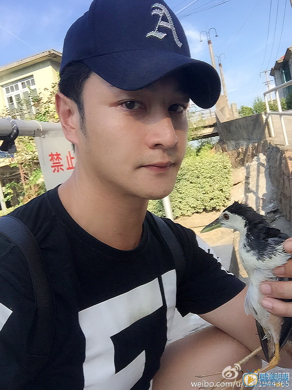 张明明生活照 张明明高清写真_张明明高清剧照