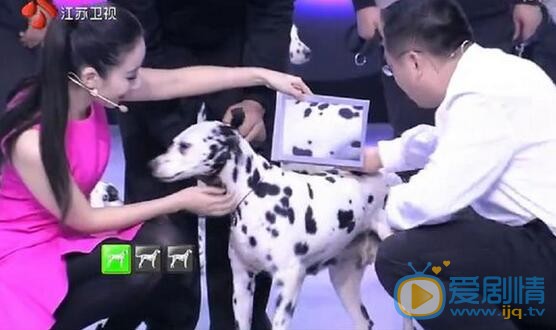 陈梦瑶《最强大脑》照 陈梦瑶高清写真_陈梦瑶高清剧照