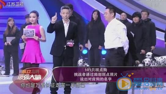 陈梦瑶《最强大脑》照 陈梦瑶高清写真_陈梦瑶高清剧照