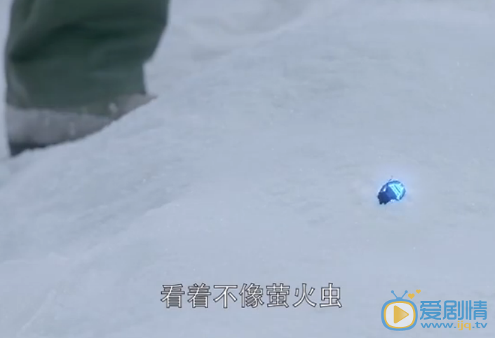 鬼吹灯之精绝古城火瓢虫究竟是什么？火瓢虫真实存在吗？