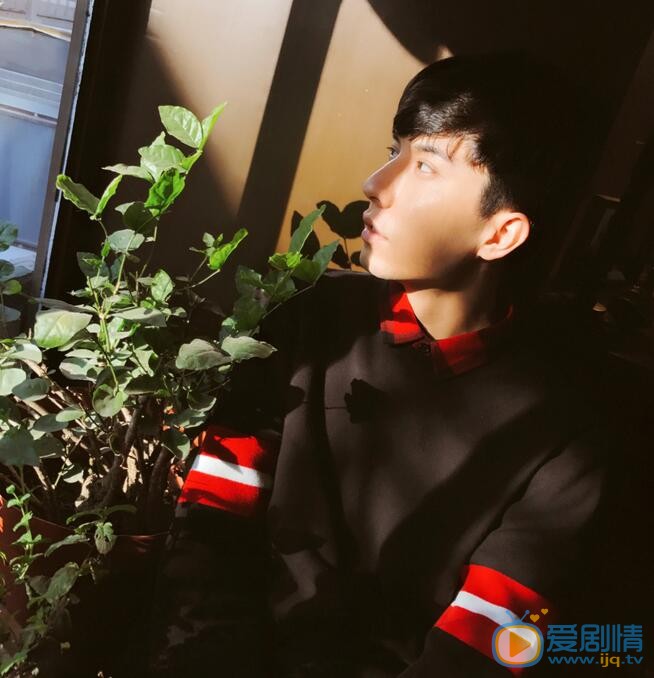 西尔扎提帅照 西尔扎提高清写真_西尔扎提高清剧照