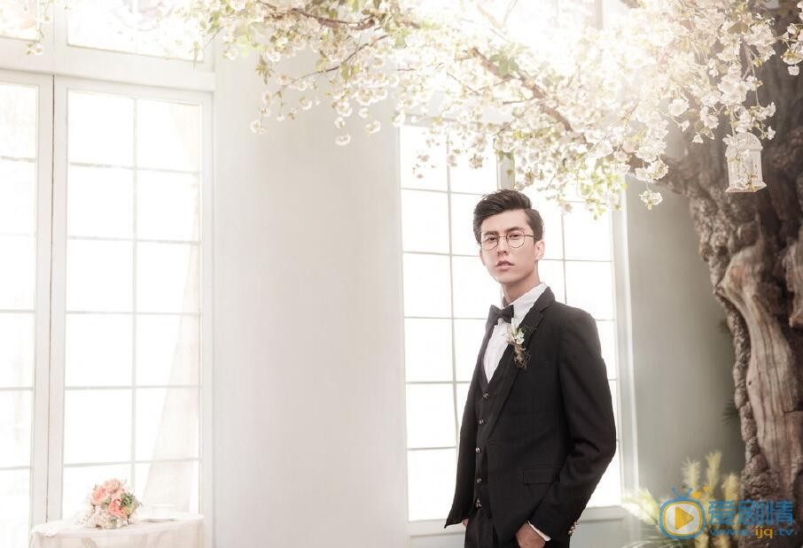 西尔扎提精英人士 西尔扎提高清写真_西尔扎提高清剧照