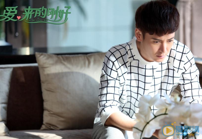   爱来的刚好剧情介绍