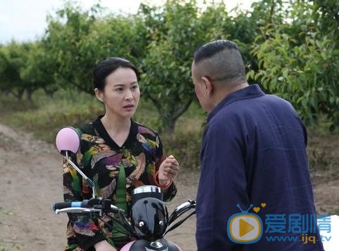 欢喜盈门剧情介绍