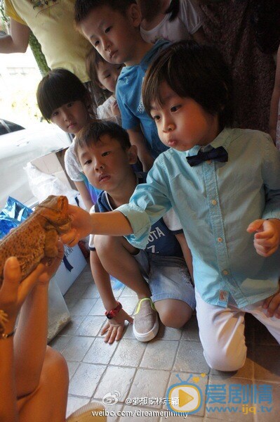 林志颖儿子kimi照片 林志颖高清写真_林志颖高清剧照