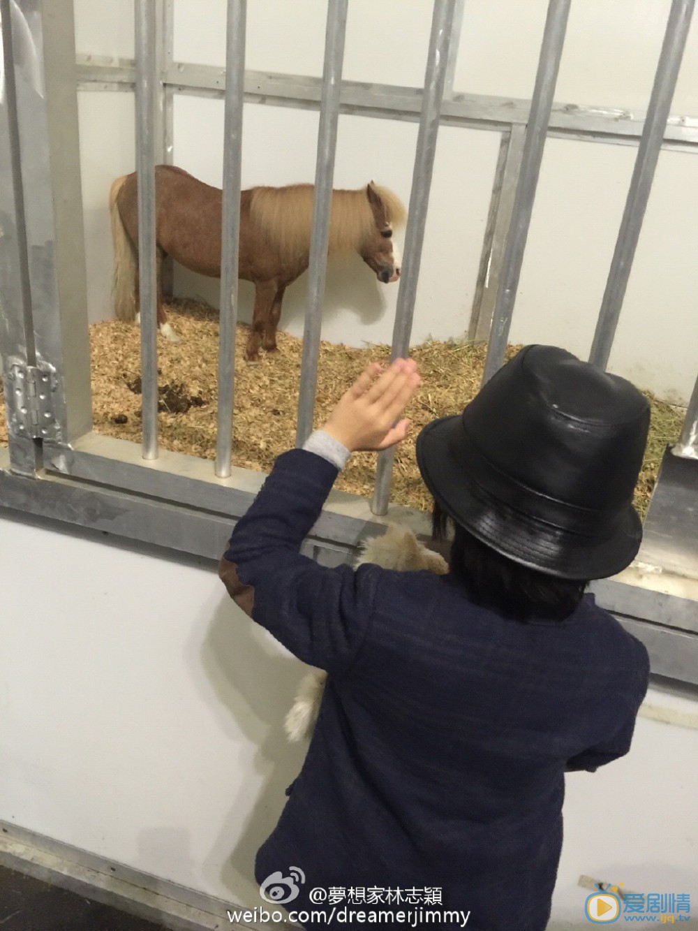 小小志高清照片 小小志高清写真_小小志高清剧照