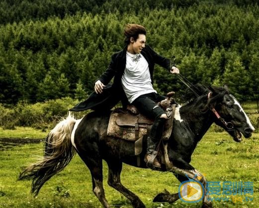 威力斯与马写真 威力斯高清写真_威力斯高清剧照