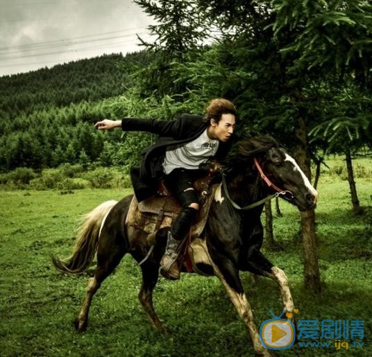 威力斯与马写真 威力斯高清写真_威力斯高清剧照