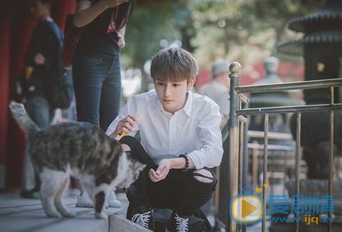 黄靖翔故宫写真 黄靖翔高清写真_黄靖翔高清剧照