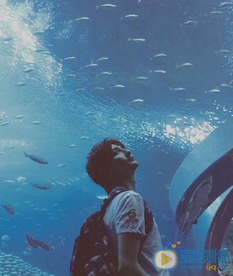 黄靖翔海底世界写真 黄靖翔高清写真_黄靖翔高清剧照