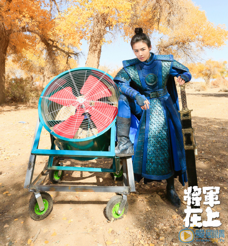 将军在上剧照