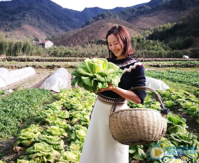 江一燕生活照 江一燕高清写真_江一燕高清剧照