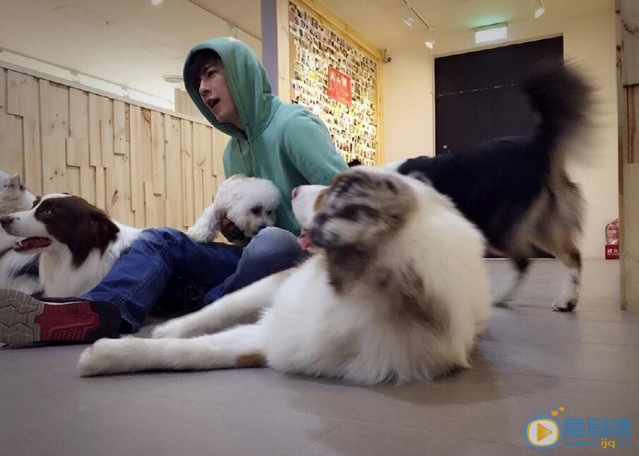 李国毅生活照 李国毅高清写真_李国毅高清剧照