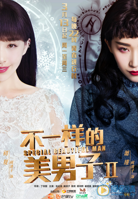 不一样的美男子2海报