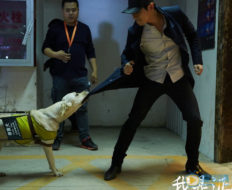 朱亚文《我是证人》剧照 朱亚文高清写真_朱亚文高清剧照