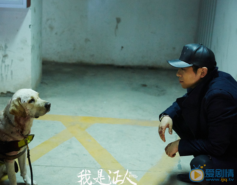 朱亚文《我是证人》剧照 朱亚文高清写真_朱亚文高清剧照