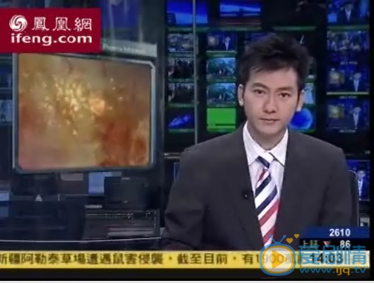 王若麟新闻主播照 王若麟高清写真_王若麟高清剧照