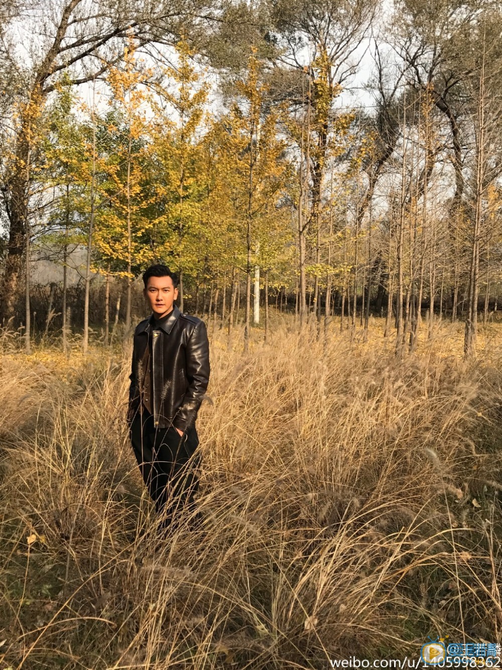 王若麟写真照 王若麟高清写真_王若麟高清剧照