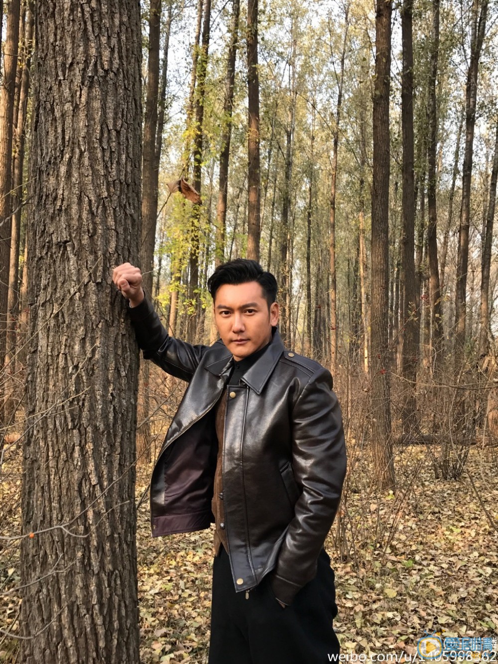 王若麟写真照 王若麟高清写真_王若麟高清剧照