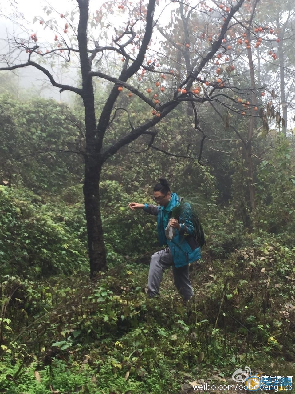 彭博旅行照 彭博高清写真_彭博高清剧照