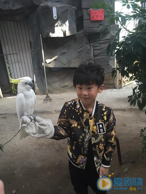 盛梓航生活照 盛梓航高清写真_盛梓航高清剧照