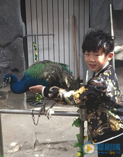 盛梓航生活照 盛梓航高清写真_盛梓航高清剧照