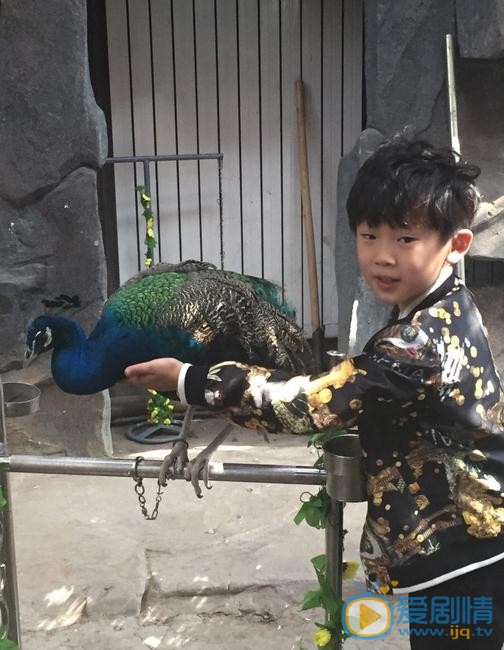 盛梓航生活照 盛梓航高清写真_盛梓航高清剧照