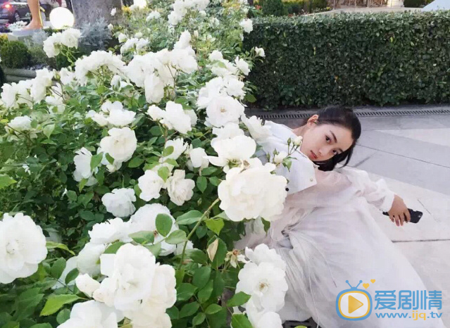 姜贞羽街拍写真 姜贞羽高清写真_姜贞羽高清剧照