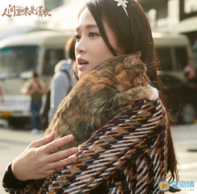 人间至味是清欢剧照