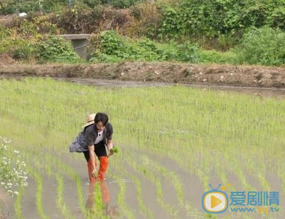 南柱赫综艺照 南柱赫高清写真_南柱赫高清剧照