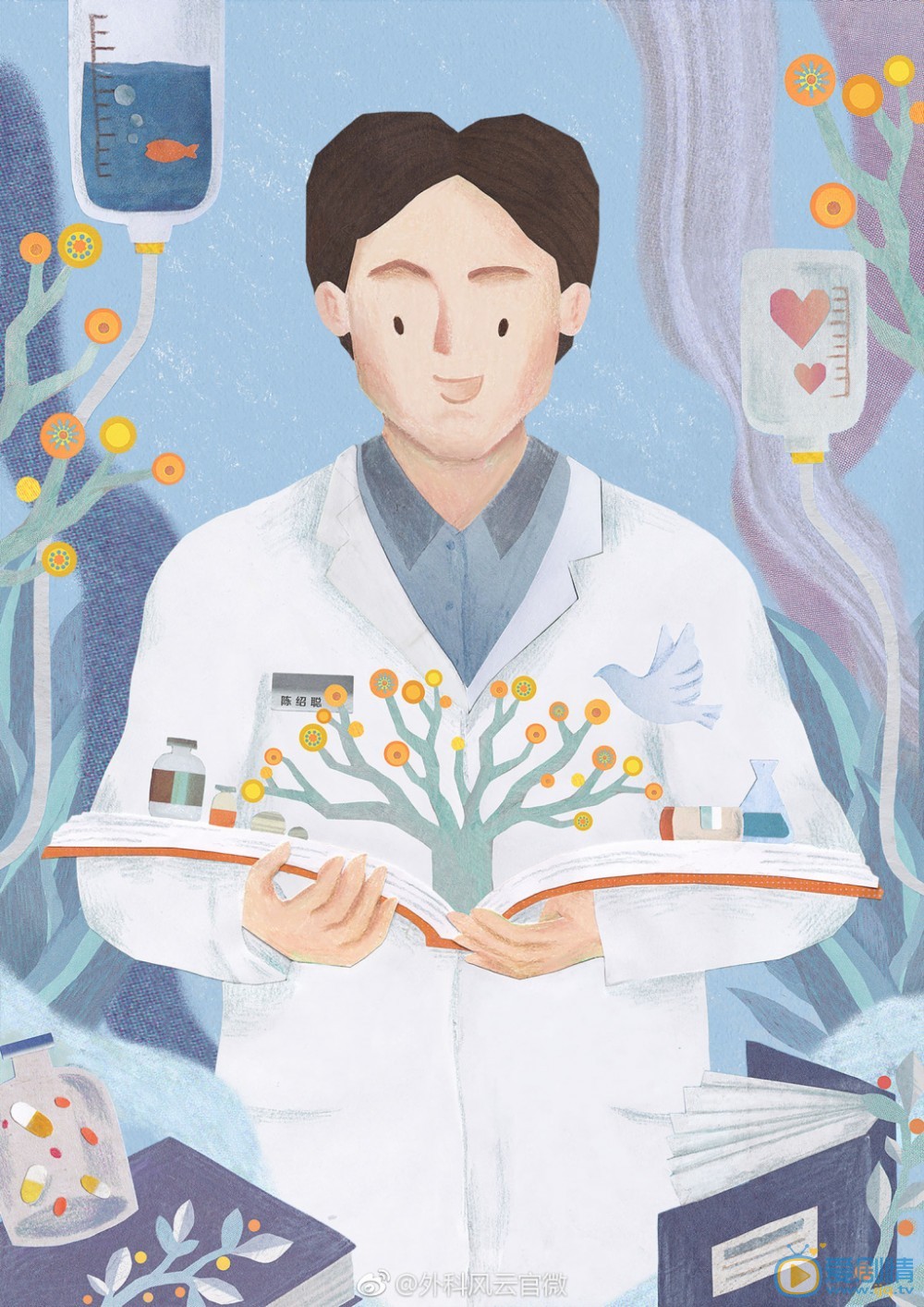 外科风云剧情介绍 外科风云海报